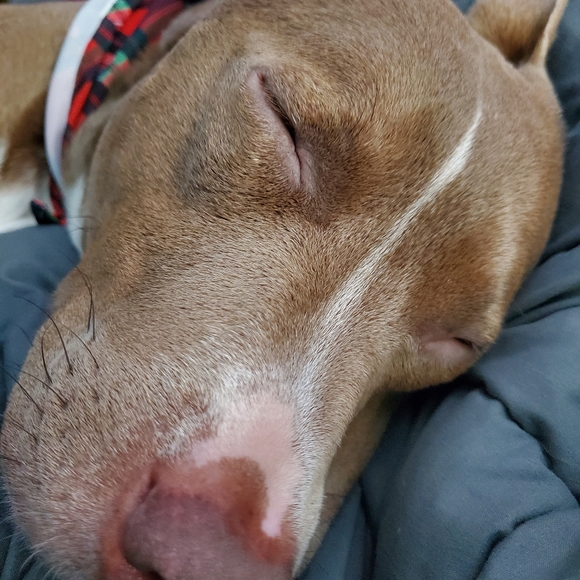 Meet your Posher, Crystal - Picture 3 of 3